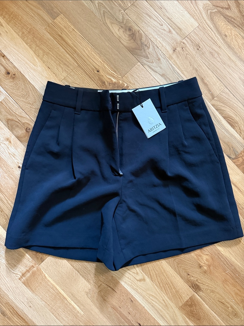 Aritzia Black Pleated High-Waist Shorts